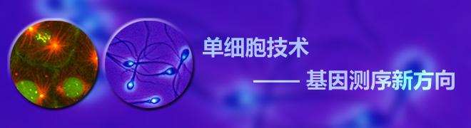 單細胞測序分析技術(shù)在轉(zhuǎn)化醫(yī)學領(lǐng)域的應(yīng)用講解介紹